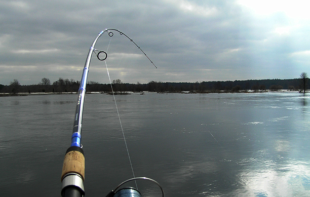 Shrap-Drakers.pl | Shrap Drakers Fishing | Wędkarstwo 