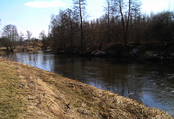 Shrap-Drakers.pl | Shrap Drakers Fishing | Wędkarstwo 