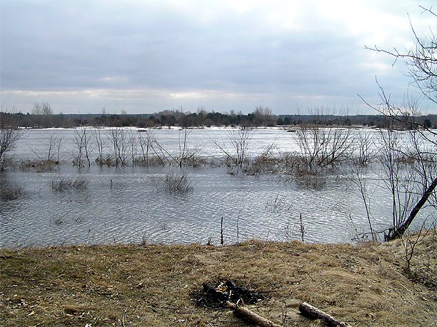 Shrap-Drakers.pl | Shrap Drakers Fishing | Wędkarstwo 