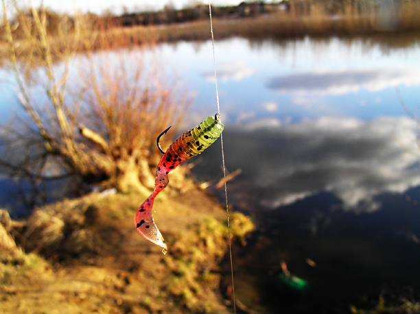 Shrap-Drakers.pl | Shrap Drakers Fishing | Wędkarstwo 