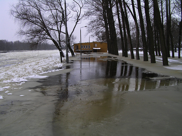Shrap-Drakers.pl | Shrap Drakers Fishing | Wędkarstwo 