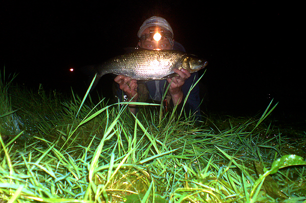 Shrap-Drakers.pl | Shrap Drakers Fishing | Wędkarstwo 