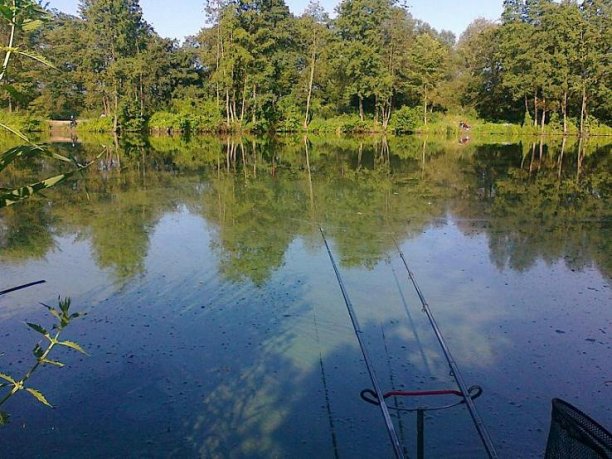Wyjedzone leszcze i wypadek przy pracy 