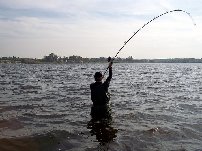Shrap-Drakers.pl | Shrap Drakers Fishing | Wędkarstwo 