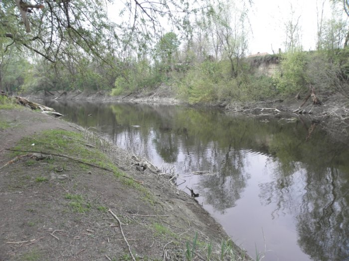 Shrap-Drakers.pl | Shrap Drakers Fishing | Wędkarstwo 