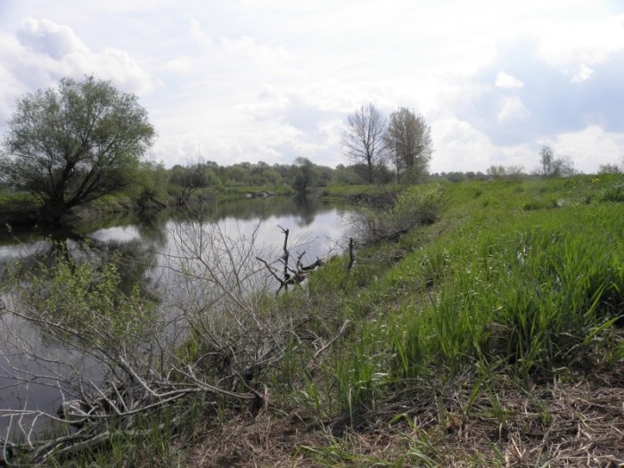 Shrap-Drakers.pl | Shrap Drakers Fishing | Wędkarstwo 