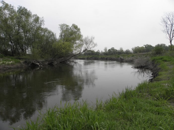 Shrap-Drakers.pl | Shrap Drakers Fishing | Wędkarstwo 