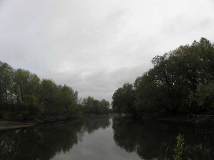 Shrap-Drakers.pl | Shrap Drakers Fishing | Wędkarstwo 