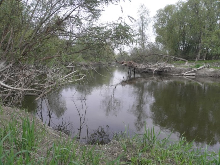 Shrap-Drakers.pl | Shrap Drakers Fishing | Wędkarstwo 