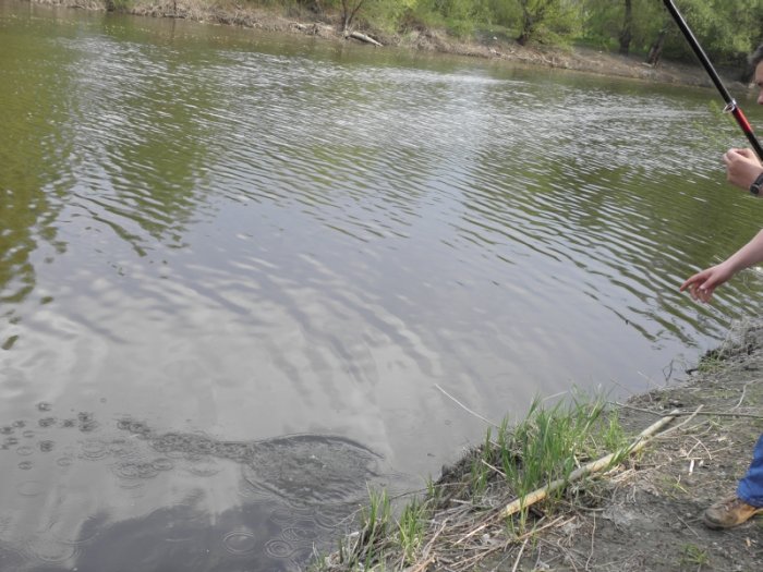 Shrap-Drakers.pl | Shrap Drakers Fishing | Wędkarstwo 