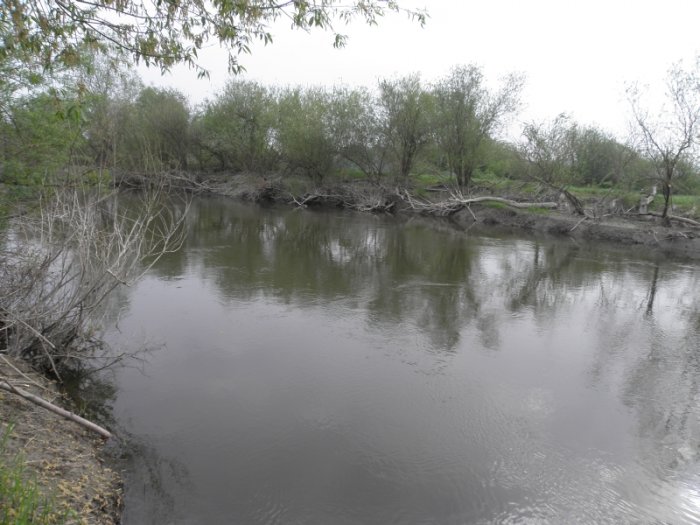 Shrap-Drakers.pl | Shrap Drakers Fishing | Wędkarstwo 