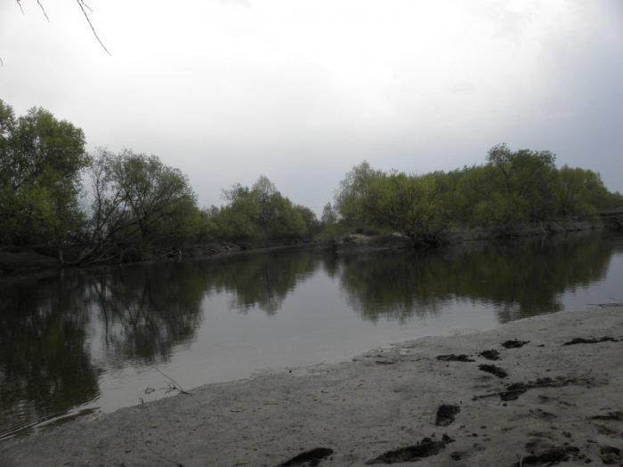 Shrap-Drakers.pl | Shrap Drakers Fishing | Wędkarstwo 