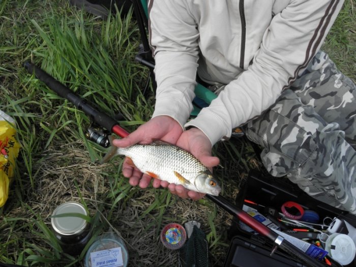 Shrap-Drakers.pl | Shrap Drakers Fishing | Wędkarstwo 