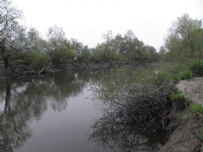 Shrap-Drakers.pl | Shrap Drakers Fishing | Wędkarstwo 