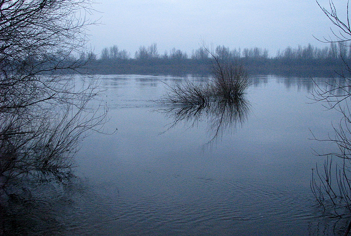 Shrap-Drakers.pl | Shrap Drakers Fishing | Wędkarstwo 