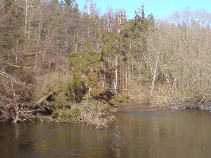 Shrap-Drakers.pl | Shrap Drakers Fishing | Wędkarstwo 