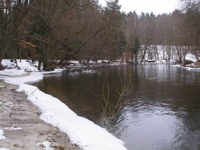 Shrap-Drakers.pl | Shrap Drakers Fishing | Wędkarstwo 