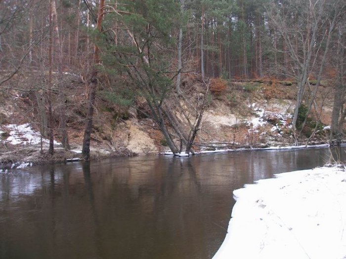 Shrap-Drakers.pl | Shrap Drakers Fishing | Wędkarstwo 