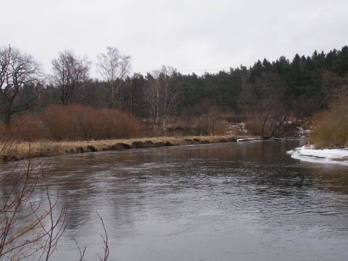 Shrap-Drakers.pl | Shrap Drakers Fishing | Wędkarstwo 