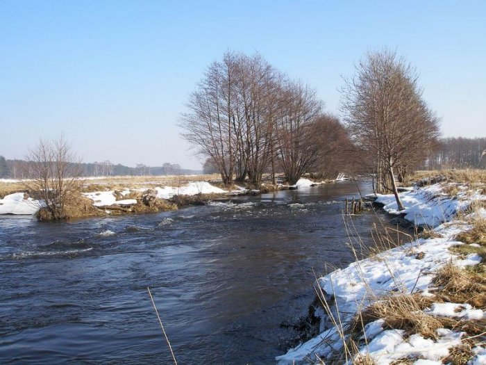 Shrap-Drakers.pl | Shrap Drakers Fishing | Wędkarstwo 