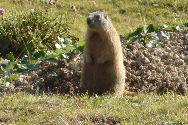 Shrap-Drakers.pl | Shrap Drakers Fishing | Wędkarstwo 