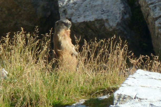 Shrap-Drakers.pl | Shrap Drakers Fishing | Wędkarstwo 