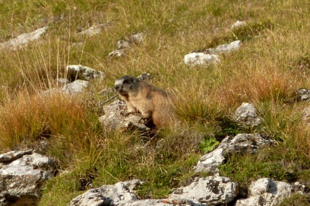 Shrap-Drakers.pl | Shrap Drakers Fishing | Wędkarstwo 