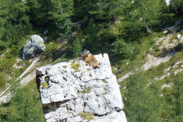 Shrap-Drakers.pl | Shrap Drakers Fishing | Wędkarstwo 