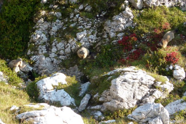 Shrap-Drakers.pl | Shrap Drakers Fishing | Wędkarstwo 