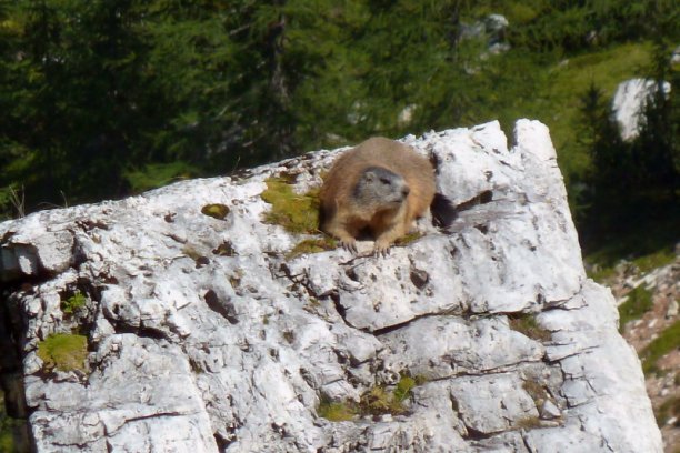 Shrap-Drakers.pl | Shrap Drakers Fishing | Wędkarstwo 