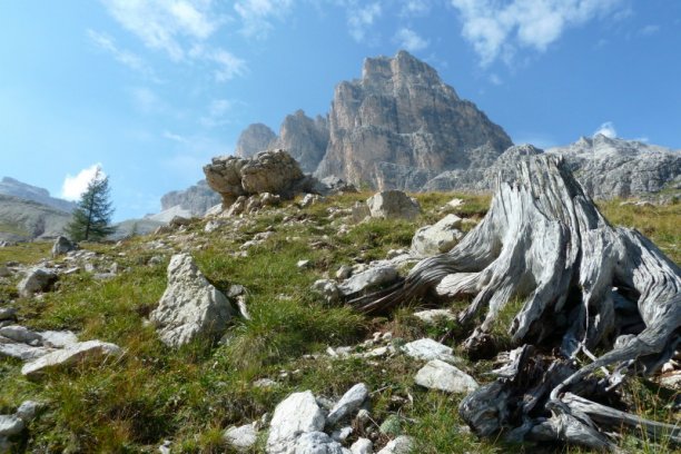 Shrap-Drakers.pl | Shrap Drakers Fishing | Wędkarstwo 