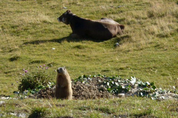 Shrap-Drakers.pl | Shrap Drakers Fishing | Wędkarstwo 