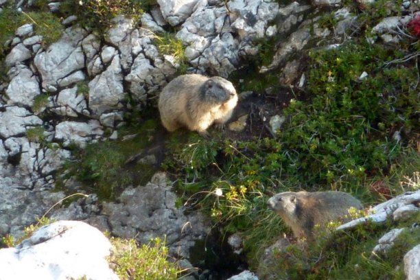 Shrap-Drakers.pl | Shrap Drakers Fishing | Wędkarstwo 