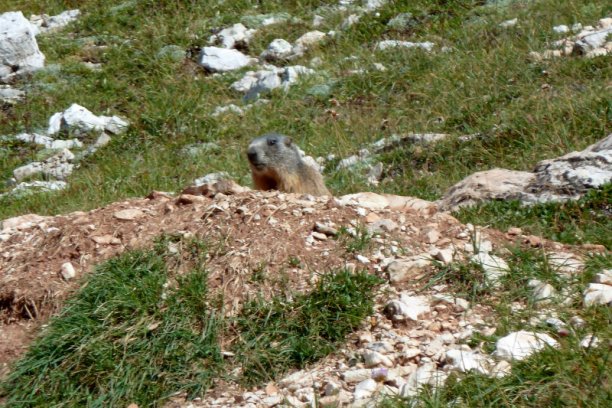 Shrap-Drakers.pl | Shrap Drakers Fishing | Wędkarstwo 