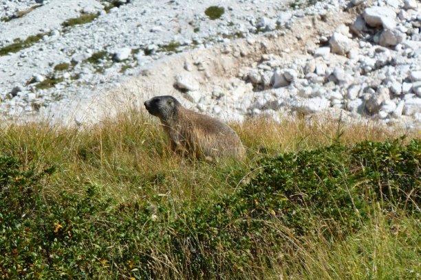 Shrap-Drakers.pl | Shrap Drakers Fishing | Wędkarstwo 