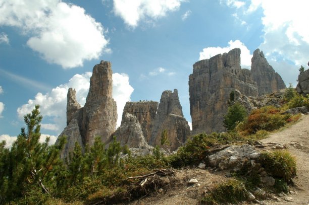 Shrap-Drakers.pl | Shrap Drakers Fishing | Wędkarstwo 