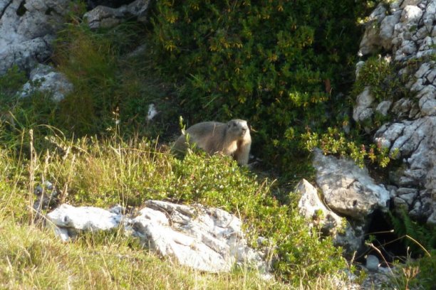 Shrap-Drakers.pl | Shrap Drakers Fishing | Wędkarstwo 