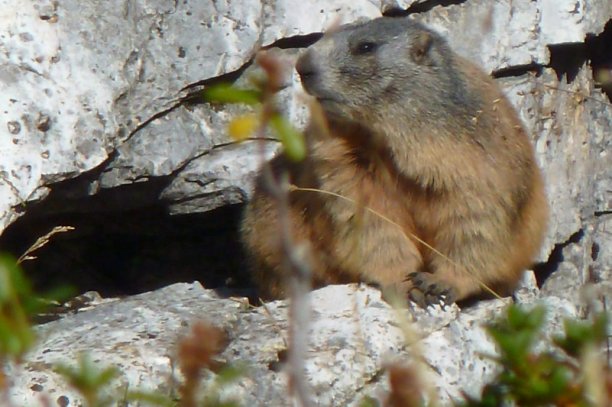 Shrap-Drakers.pl | Shrap Drakers Fishing | Wędkarstwo 