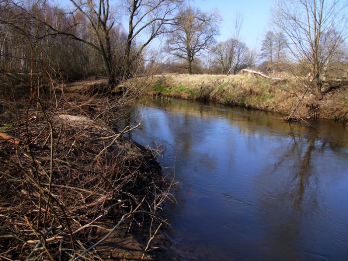 Shrap-Drakers.pl | Shrap Drakers Fishing | Wędkarstwo 