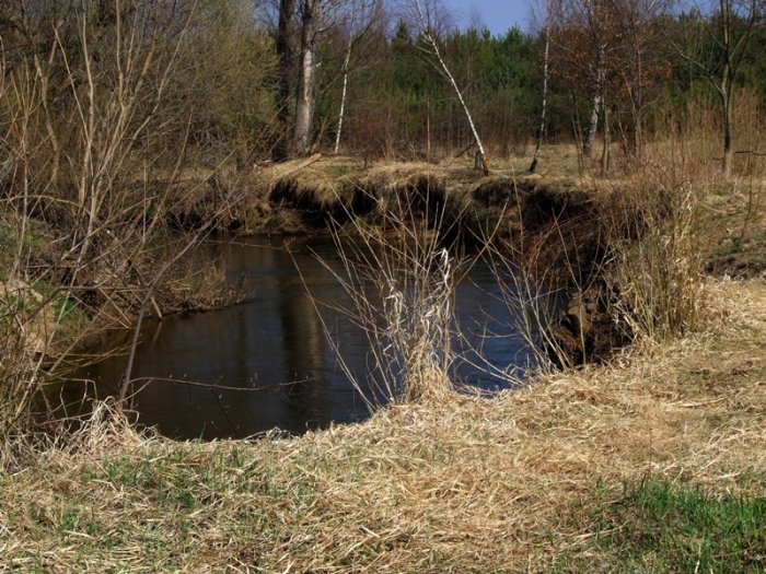 Shrap-Drakers.pl | Shrap Drakers Fishing | Wędkarstwo 