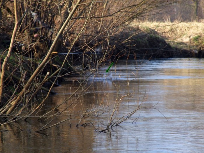 Shrap-Drakers.pl | Shrap Drakers Fishing | Wędkarstwo 