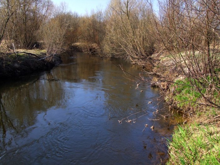 Shrap-Drakers.pl | Shrap Drakers Fishing | Wędkarstwo 