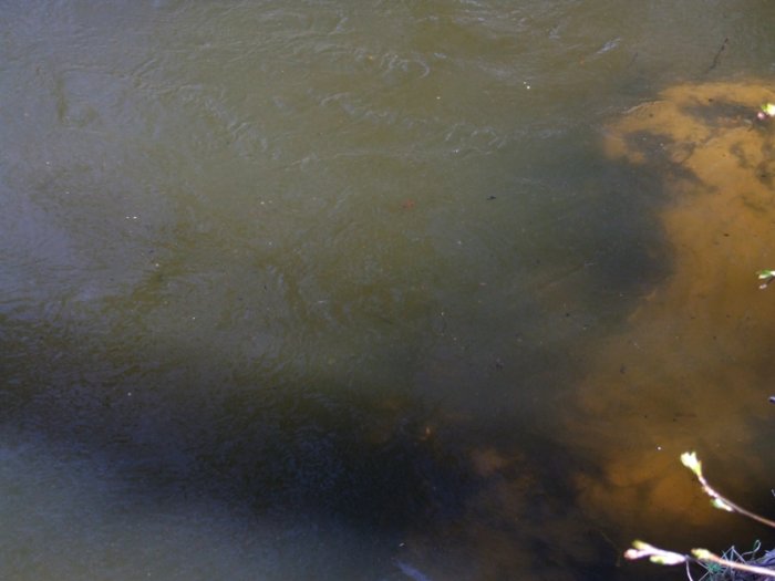 Shrap-Drakers.pl | Shrap Drakers Fishing | Wędkarstwo 