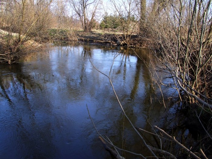 Shrap-Drakers.pl | Shrap Drakers Fishing | Wędkarstwo 