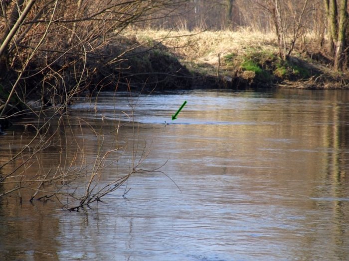 Shrap-Drakers.pl | Shrap Drakers Fishing | Wędkarstwo 