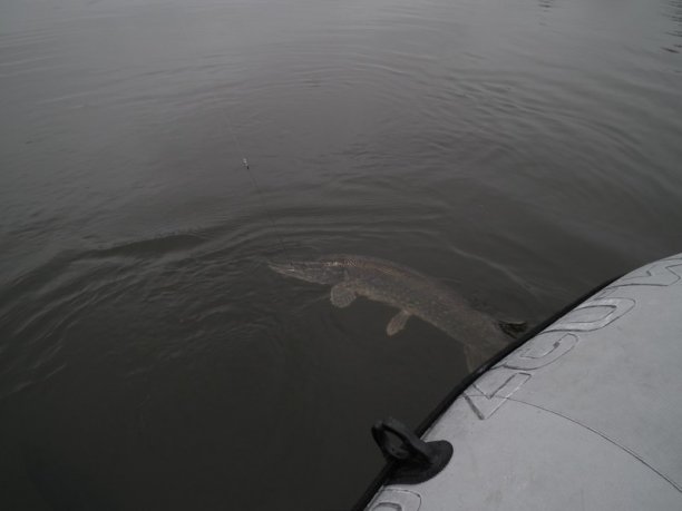 Shrap-Drakers.pl | Shrap Drakers Fishing | Wędkarstwo 