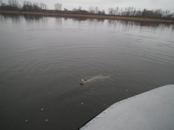 Shrap-Drakers.pl | Shrap Drakers Fishing | Wędkarstwo 