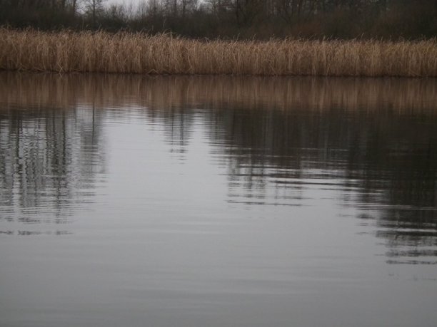 Shrap-Drakers.pl | Shrap Drakers Fishing | Wędkarstwo 