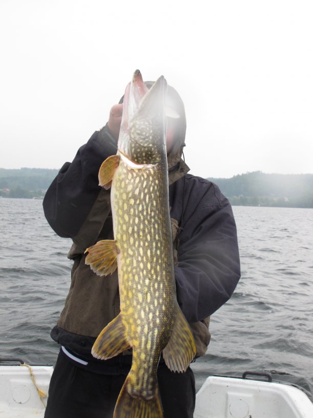 Shrap-Drakers.pl | Shrap Drakers Fishing | Wędkarstwo 