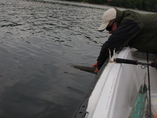 Shrap-Drakers.pl | Shrap Drakers Fishing | Wędkarstwo 